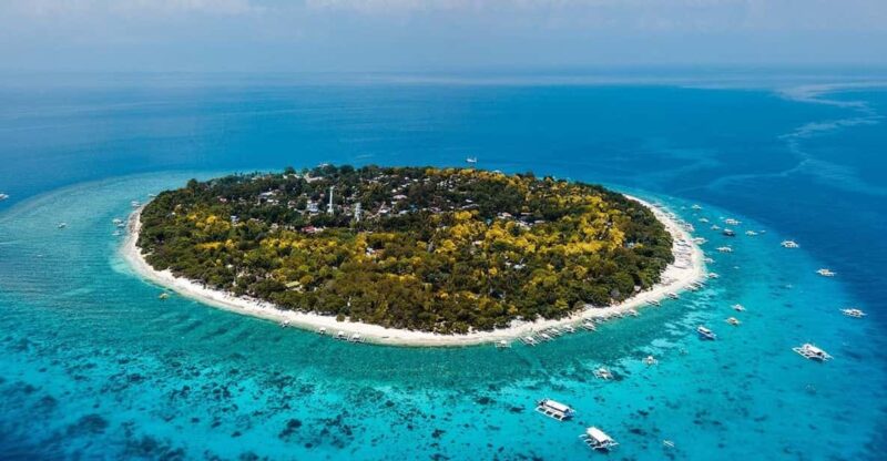 Dolphin Watching, Virgin Island and Balicasag Island Hopping - Highlights of the Tour
