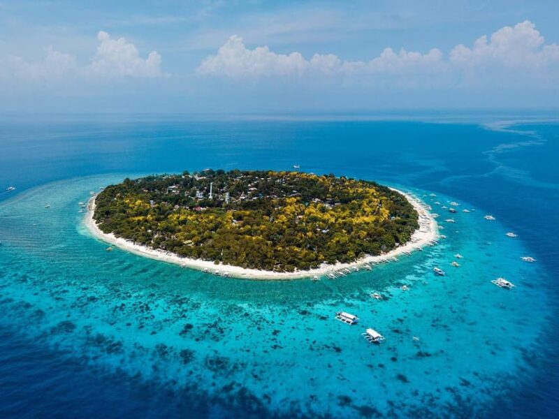 Dolphin Watching, Virgin Island and Balicasag Island Hopping - Exclusions