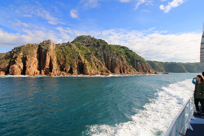 Dolphin & Whale Cruise - Meeting and End Points