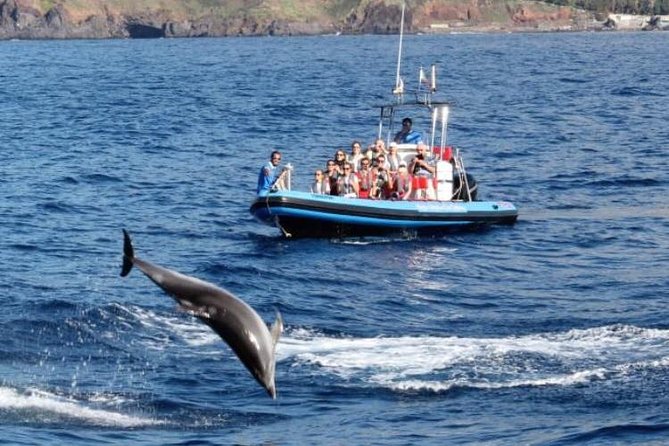 Dolphin - Whale - Turtle - Bird Watching - Policies