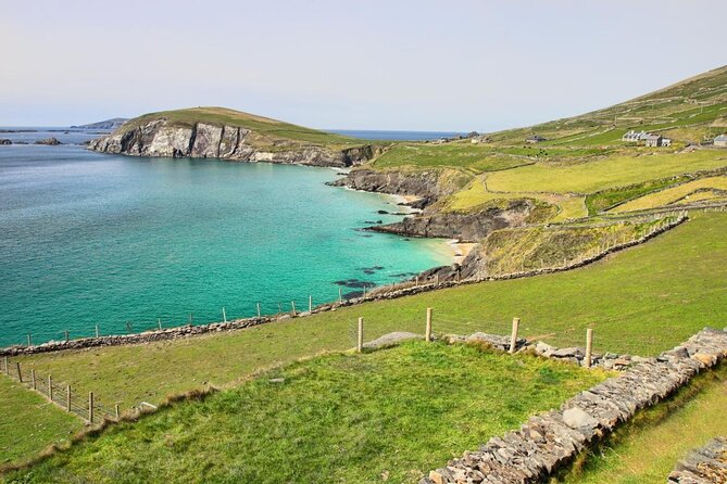 Dolphin & Whale Watching (4hrs) Blasket Island Landing (3hrs) - Meeting Point and Pickup