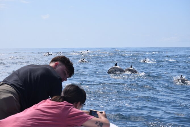 Dolphin & Whale Watching - Iconic Oceanside Pier