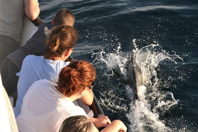 Dolphin & Whale Watching Sunset Cruise - Booking and Confirmation Process