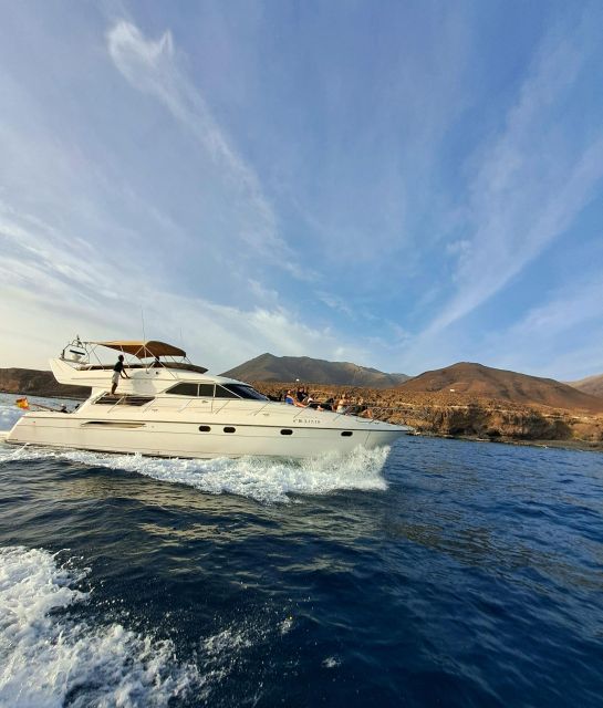 Dolphin & Whale Watching With Luxury Yacht - Morning or Sunset Cruise Options