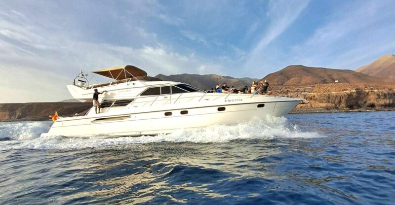Dolphin & Whale Watching With Luxury Yacht - Professional Crew and Included Amenities