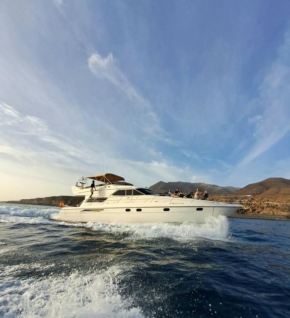 Dolphin & Whale Watching With Luxury Yacht - Explore Southern Fuerteventuras Landscapes