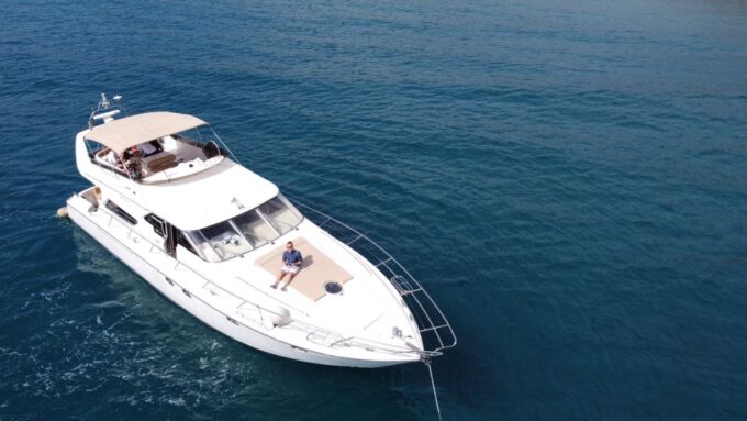 Dolphin & Whale Watching With Luxury Yacht - Booking and Cancellation Information