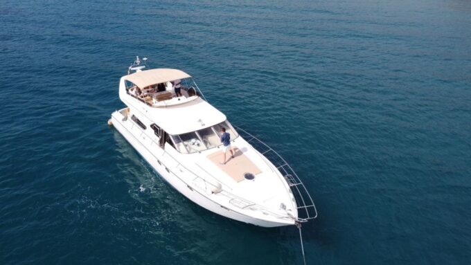 Dolphin & Whale Watching With Luxury Yacht - Pickup Service Available From South