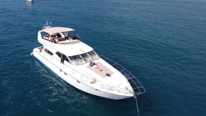 Dolphin & Whale Watching With Luxury Yacht - Frequently Asked Questions