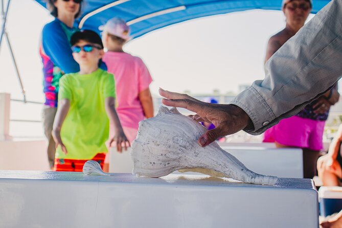 Dolphin Wildlife Cruise Fort Myers Beach - Location and Meeting Point
