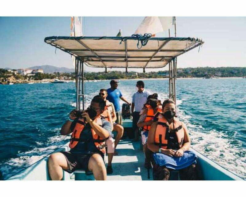 Dolphins and whales watching in Puerto Escondido. - What Makes This Tour Special
