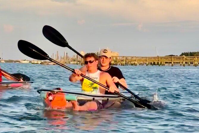 Dolphins and Wildlife Ecotour - Frequently Asked Questions