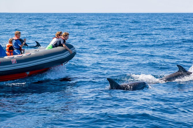 Dolphins & Caves on Rib Boat - Accessing Coastal Attractions