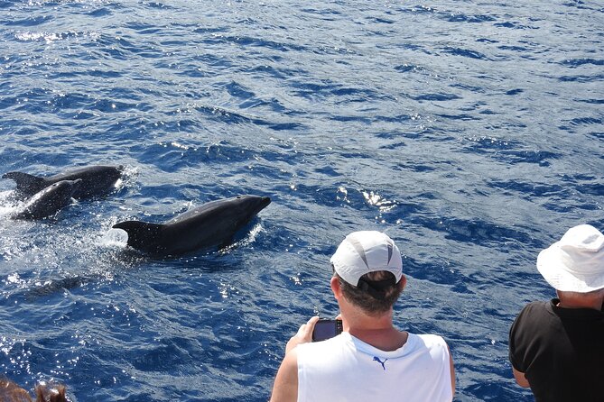 Dolphins, Coral Reefs, Caribbean Coast - Included in the Tour