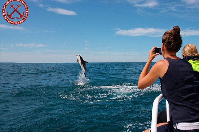 Dolphins Watching in the National Park Brijuni From Pula - Meeting and Drop-off