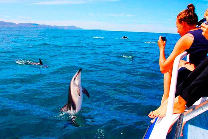 Dolphins Watching in the National Park Brijuni From Pula - Policies