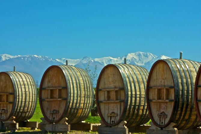 Domaine Bousquet Winery Tour With Horseback Riding and Lunch - Key Points