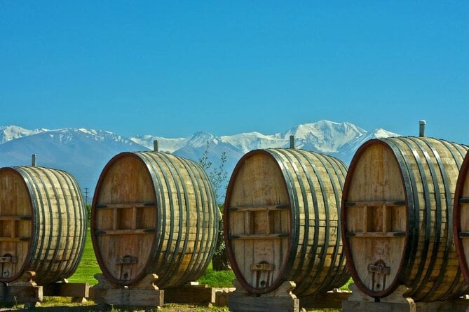 Domaine Bousquet Winery Tour With Horseback Riding and Lunch - Inclusions and Exclusions