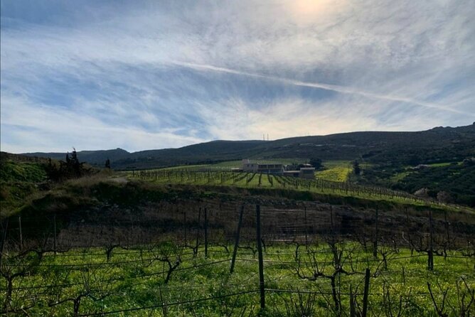 Domaine Paterianakis Organic Wine Tasting - Warm Welcome and Informative Visit