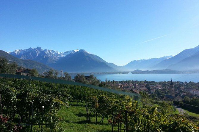 Domaso: Wine Tasting at the Winery on Lake Como - Getting to the Winery
