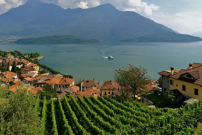Domaso: Wine Tasting at the Winery on Lake Como - Accommodating Dietary Requirements