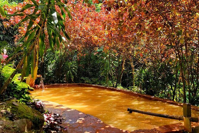 Dominica Adventure Hiking, Swimming, and Hot Springs Tour - What’s Included and What’s Not