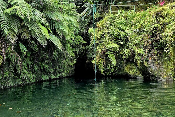 Dominica Adventure Hiking, Swimming, and Hot Springs Tour - How This Tour Stacks Up on Value