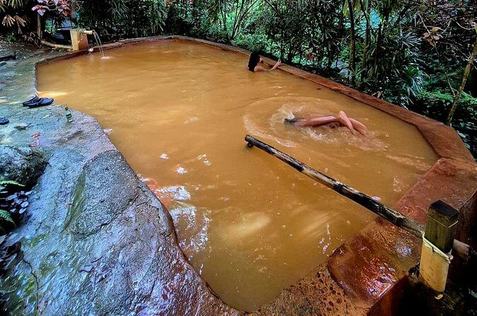 Dominica Adventure Hiking, Swimming, and Hot Springs Tour - Who Will Love This Tour?