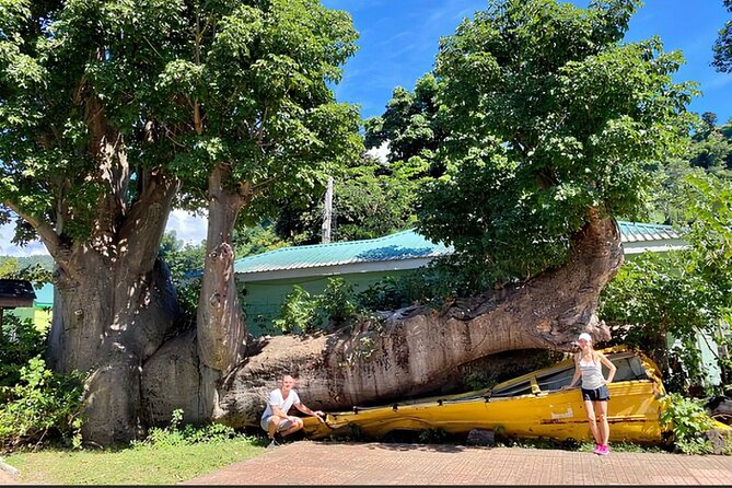 Dominica Chasing Waterfalls Experience - Discovering Botanical Wonders