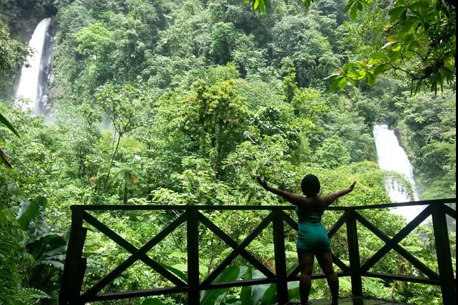 Dominica Chasing Waterfalls Experience - Savoring Local Fruit Delights