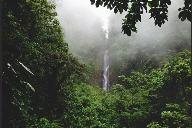 Dominica Chasing Waterfalls Experience - Navigating Twisty Island Roads