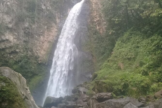 .Dominica Full Day Tour -6 Waterfalls in 1 Day and Rainforest - Tour Overview and Details