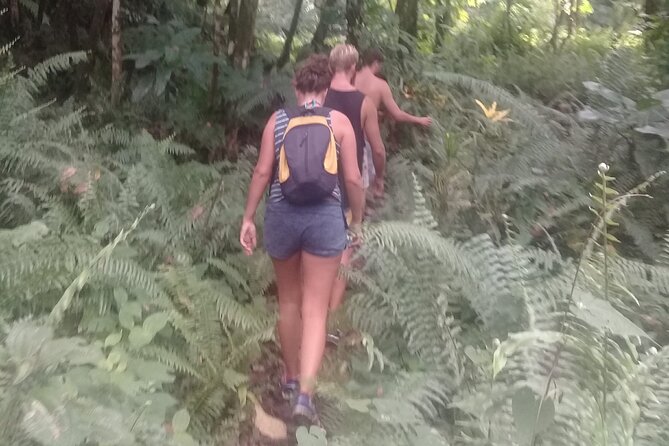 .Dominica Full Day Tour -6 Waterfalls in 1 Day and Rainforest - Exploring the Dominica Rainforest