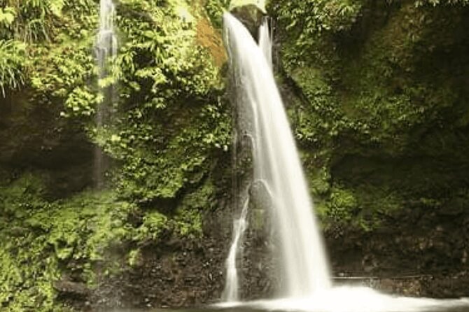 .Dominica Full Day Tour -6 Waterfalls in 1 Day and Rainforest - Chasing the Waterfalls