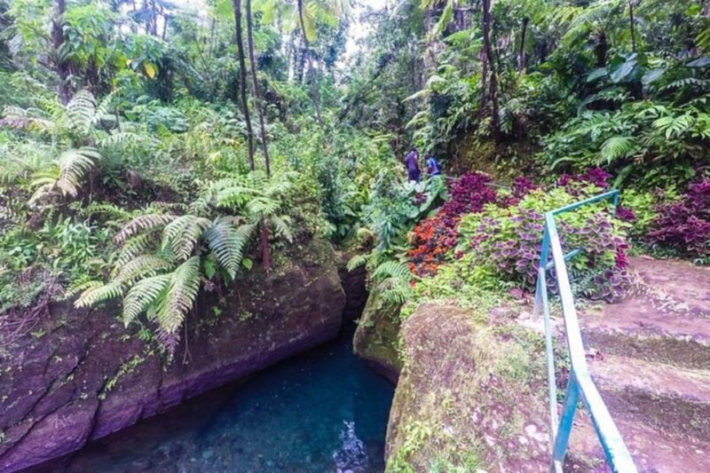 Dominica: Get Set Wet Day Tour - Booking Information