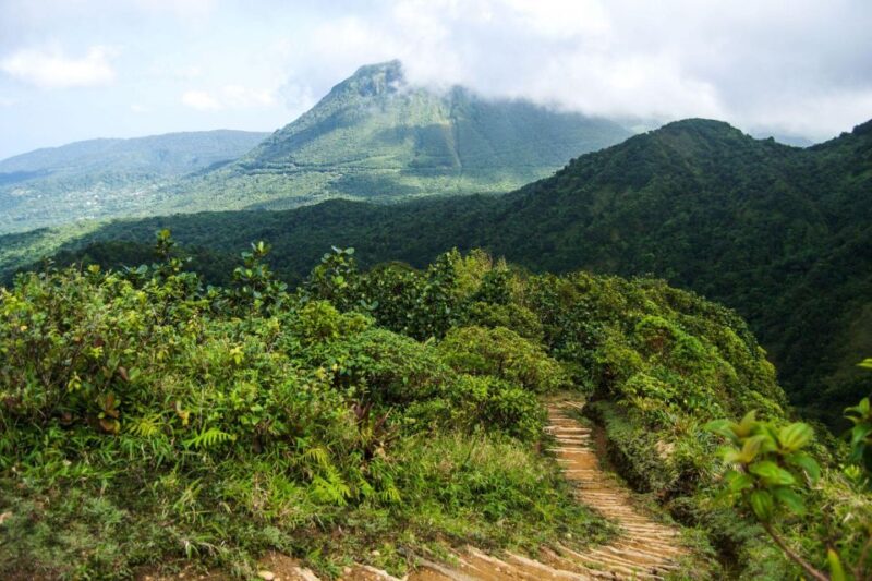 Dominica Hiking Adventures - Experience Highlights