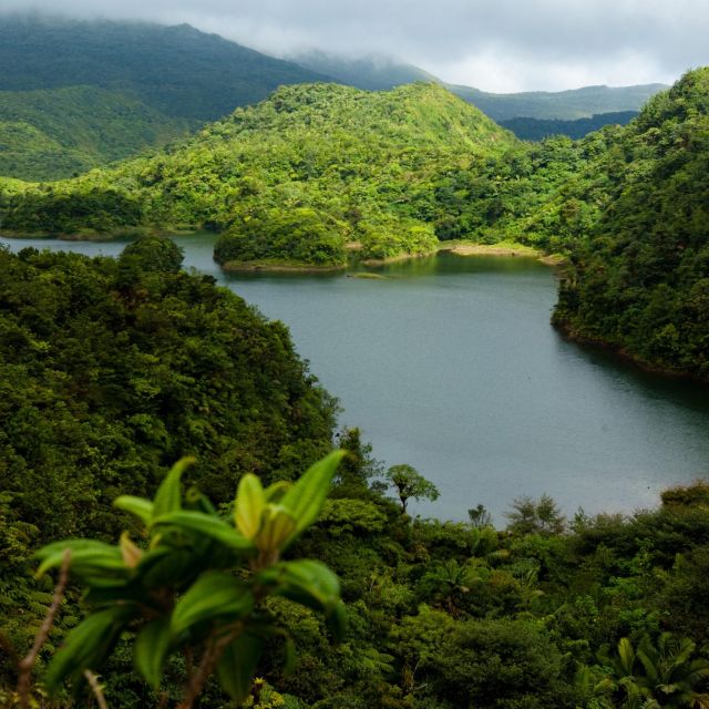 Dominica Hiking Adventures - Itinerary and Locations