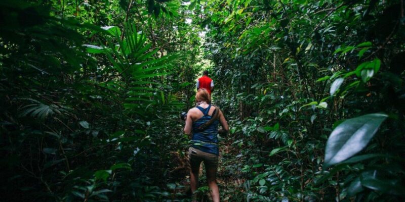 Dominica Hiking Adventures - Guided Experience