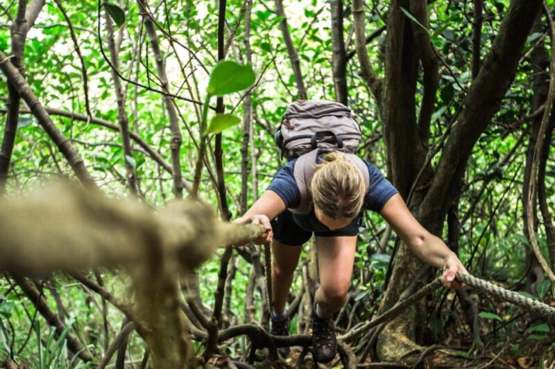 Dominica Hiking Adventures - Preparation and Essentials