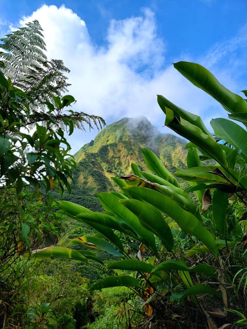 Dominica: Hiking Tour to the Boiling Lake! - Customer Experience