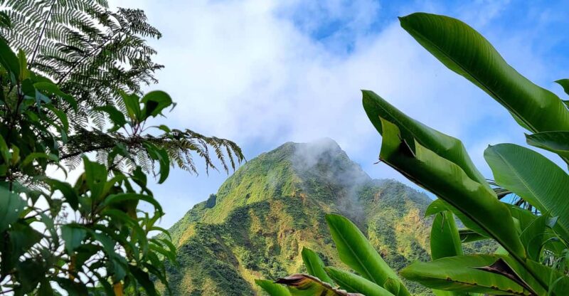 Dominica: Hiking Tour to the Boiling Lake! - Pristine Clear Water