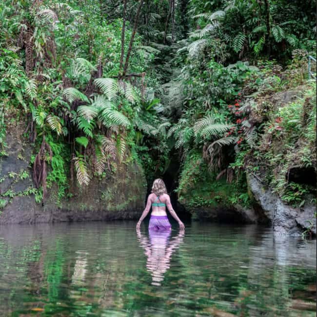 Dominica Hot Springs Waterfalls and Titou Gorge Treasures - What We Learned From the Reviews