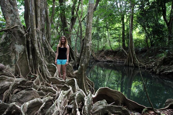 Dominica Indian River Discovery & Beach Stop. - About Your Stay