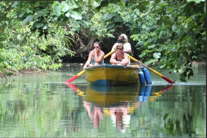 Dominica Indian River Discovery & Beach Stop. - Meeting and Pickup