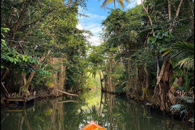 Dominica Indian River Discovery & Beach Stop. - Booking Information