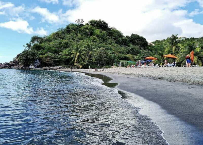 Dominica: Indian River Discovery & Beach Stop Tour - Authentic Feedback from Travelers