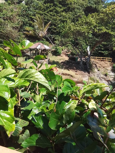 Dominica: Indian Village, Hidden Gems & British Battle Fort. - Frequently Asked Questions