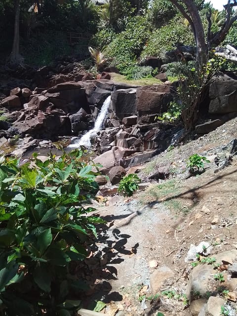 Dominica: Indian Village, Hidden Gems & British Battle Fort. - Frequently Asked Questions