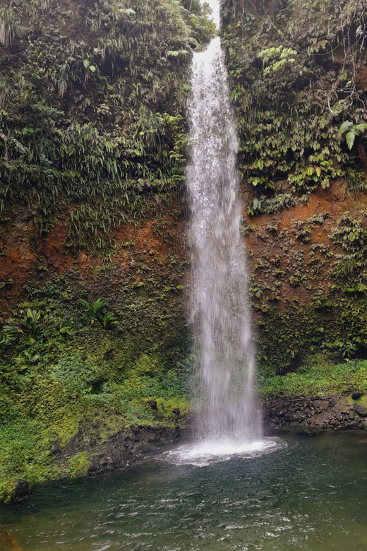Dominica: Local Bush Rum Bar, Waterfall and River Pool - Key Points