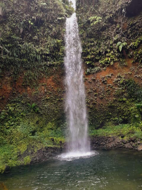 Dominica: Local Bush Rum Bar, Waterfall and River Pool - Visitor Restrictions